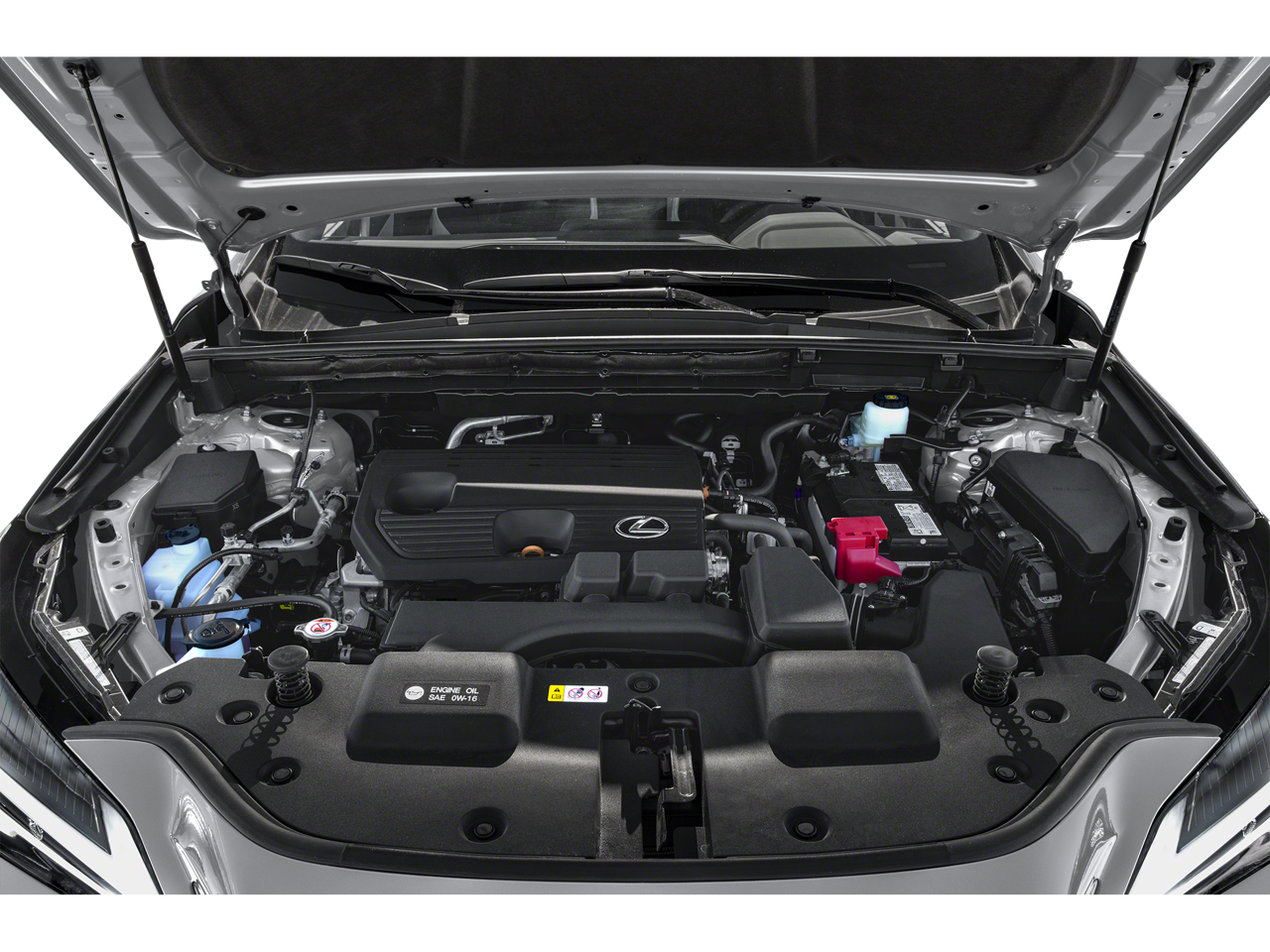 2024 Lexus NX 250 Base