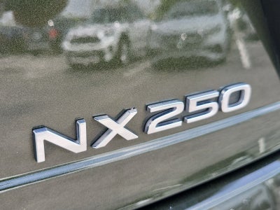 2024 Lexus NX 250 Base
