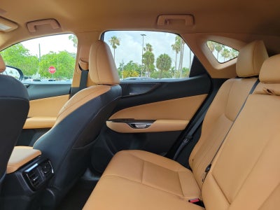2024 Lexus NX 250 Base