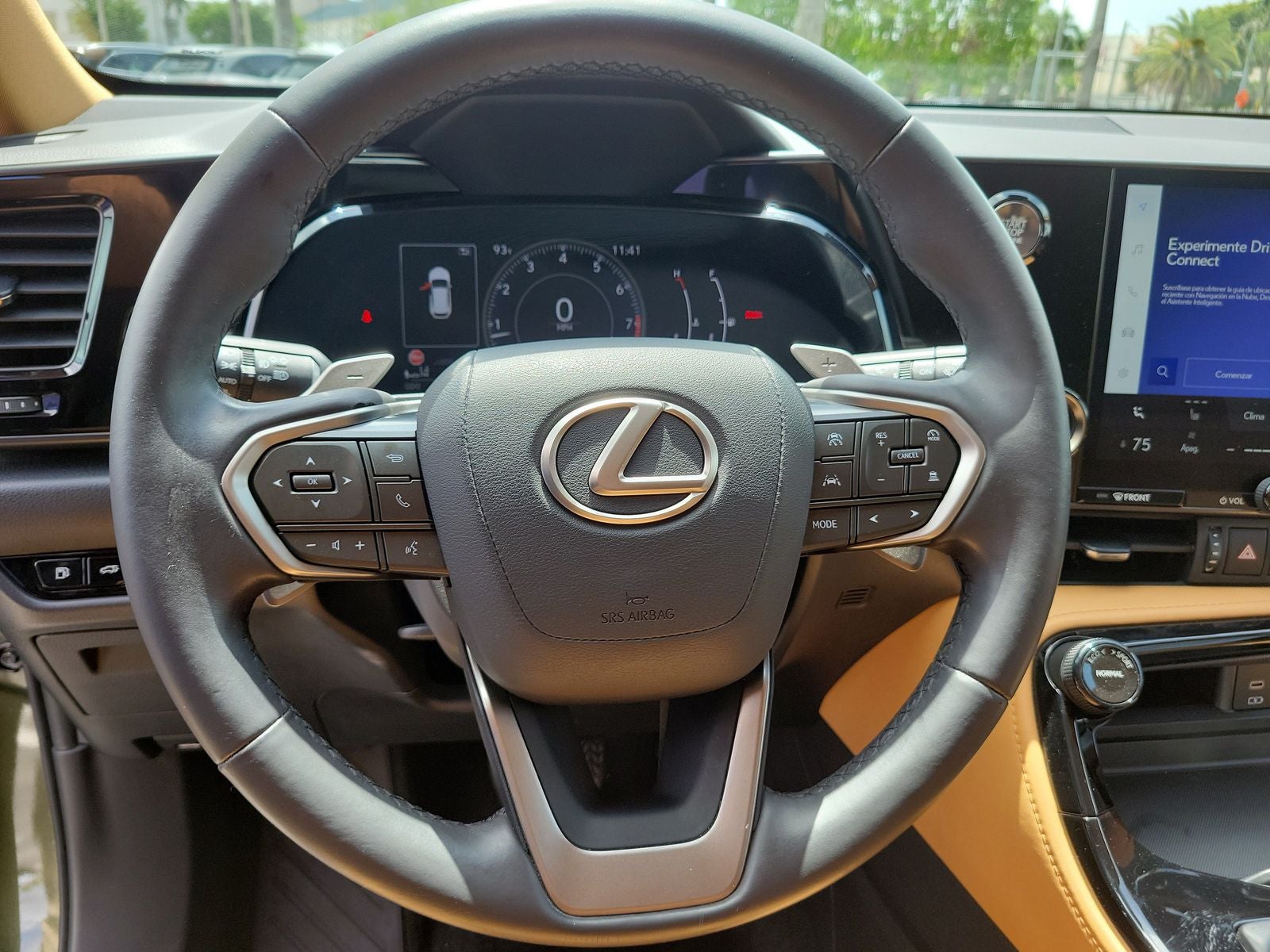 2024 Lexus NX 250 Base
