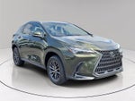 2024 Lexus NX 250 Base