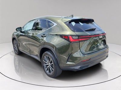 2024 Lexus NX 250 Base