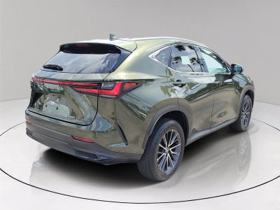 2024 Lexus NX 250 Base