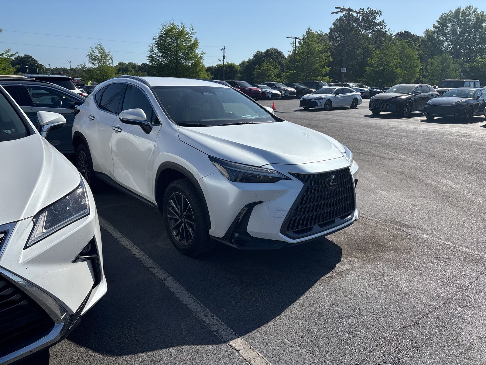 2025 Lexus NX 250 Base