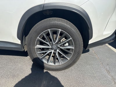 2025 Lexus NX 250 Base