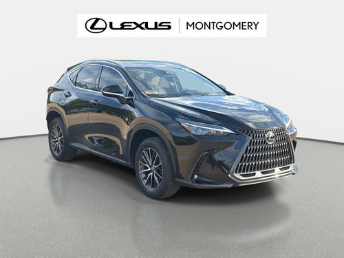 2024 Lexus NX 250 Base
