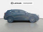 2024 Lexus NX 250 Base