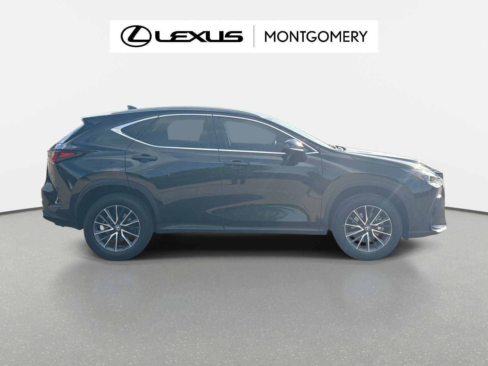 2024 Lexus NX 250 Base