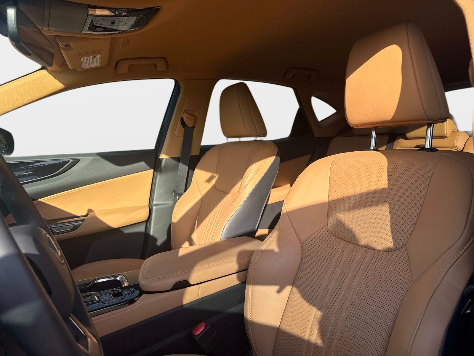 2024 Lexus NX 250 Base