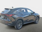 2024 Lexus NX 250 Base