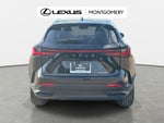 2024 Lexus NX 250 Base