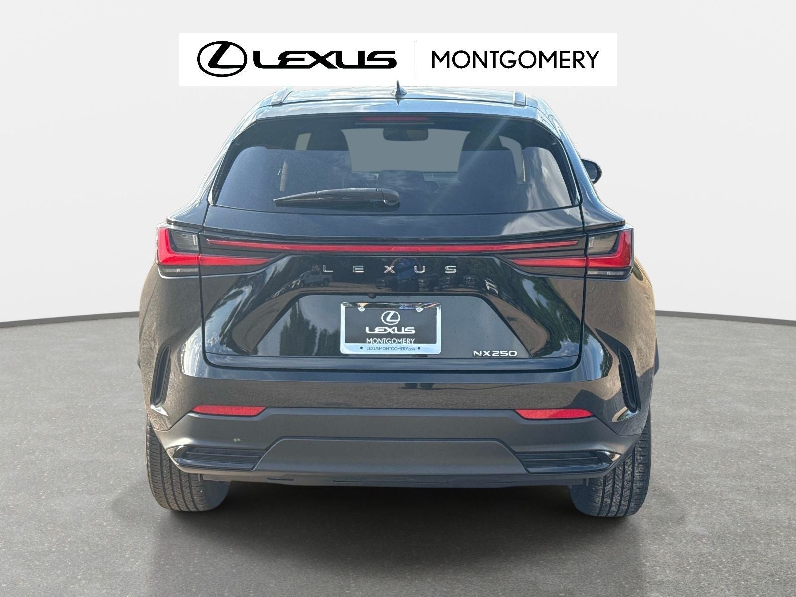 2024 Lexus NX 250 Base