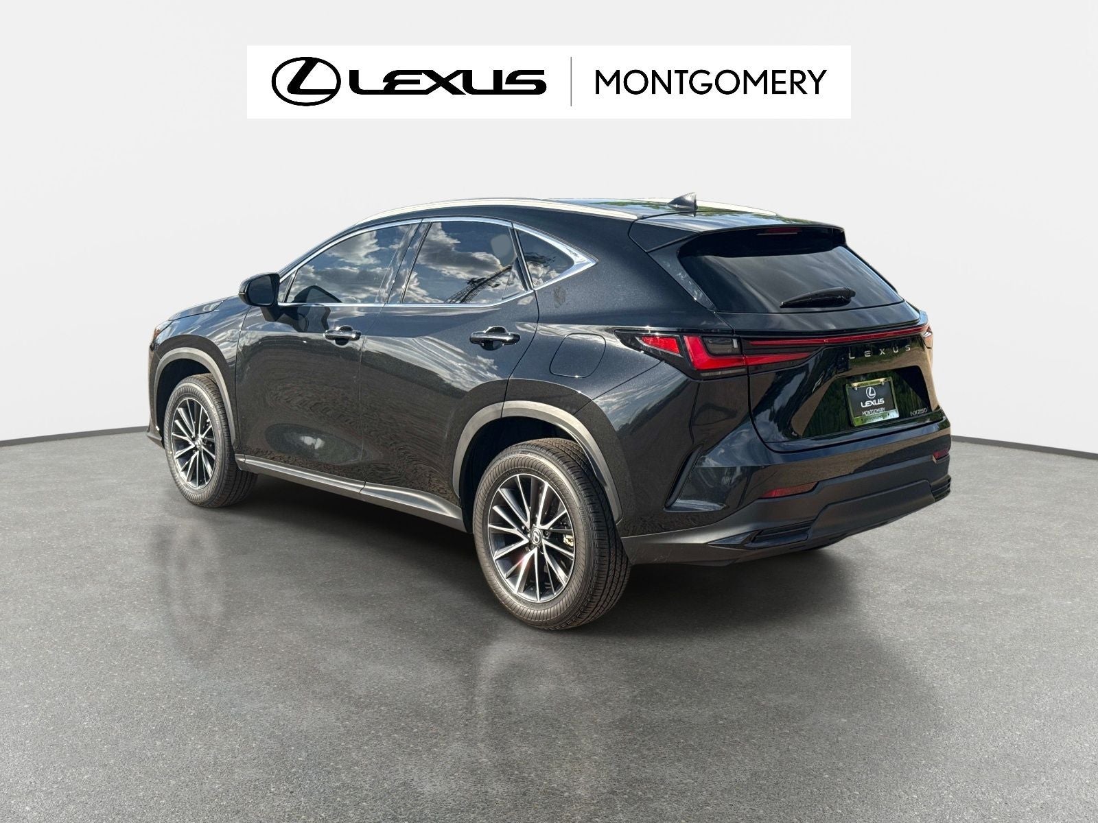 2024 Lexus NX 250 Base