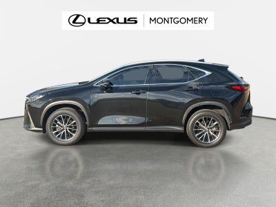 2024 Lexus NX 250 Base