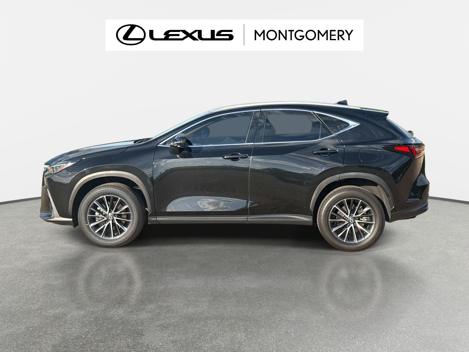 2024 Lexus NX 250 Base