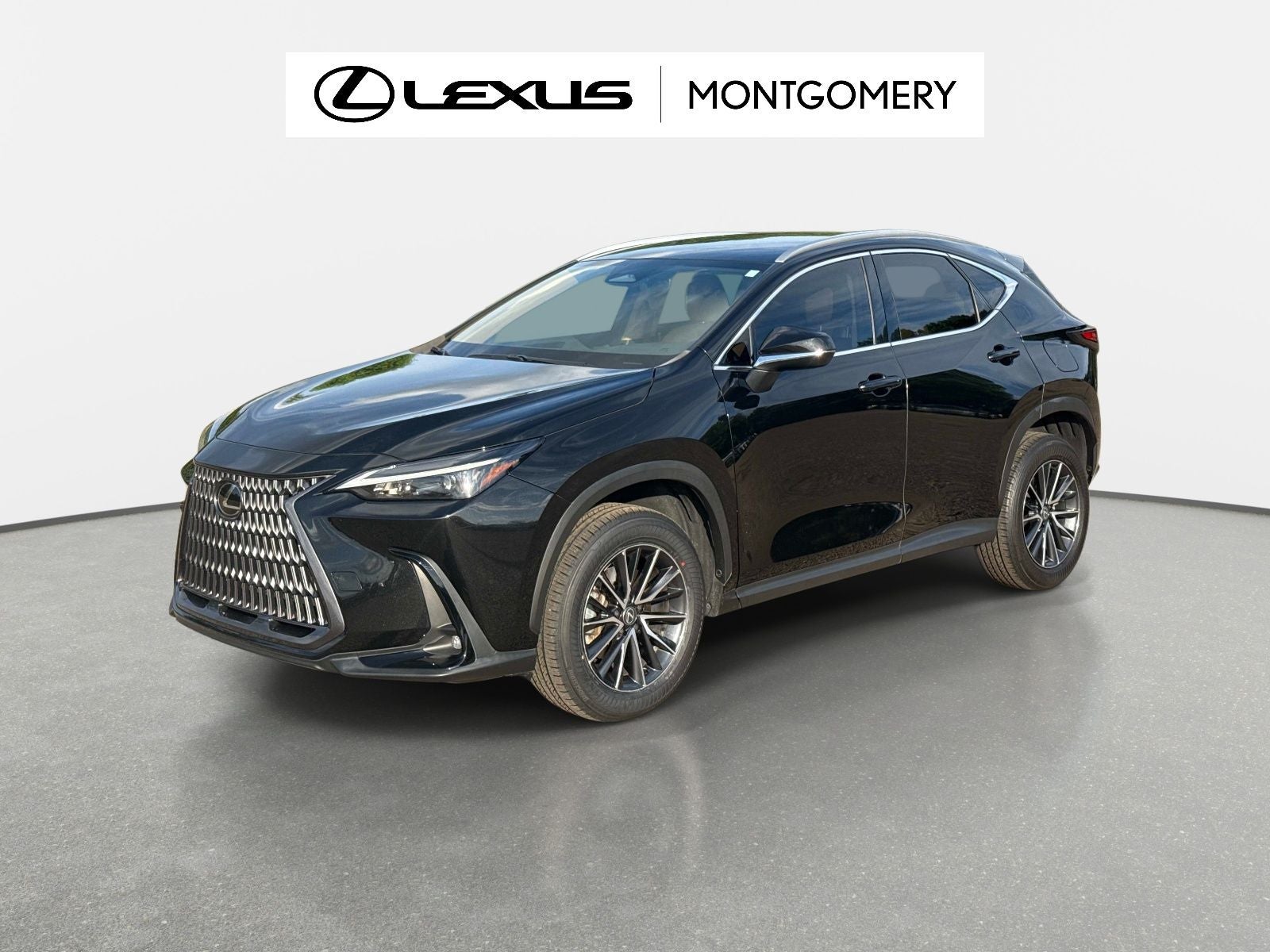 2024 Lexus NX 250 Base