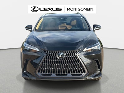 2024 Lexus NX 250 Base