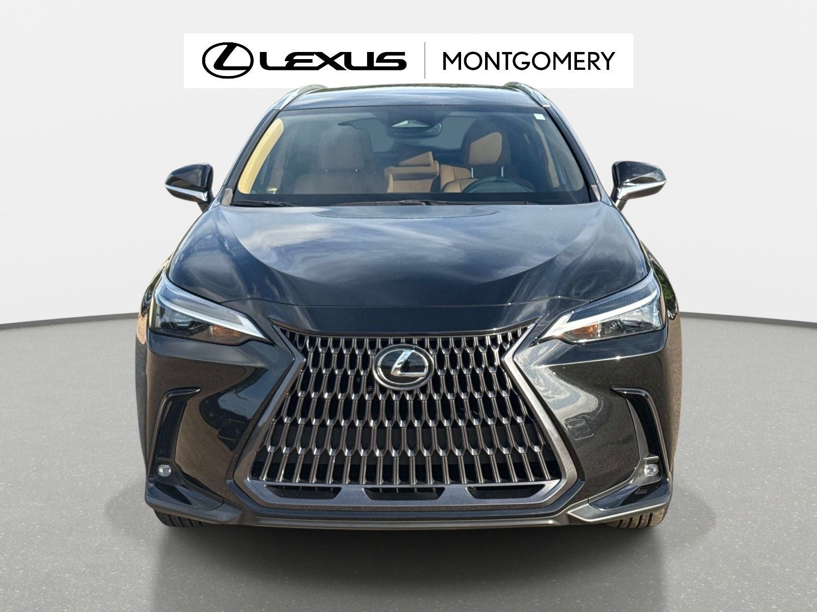 2024 Lexus NX 250 Base