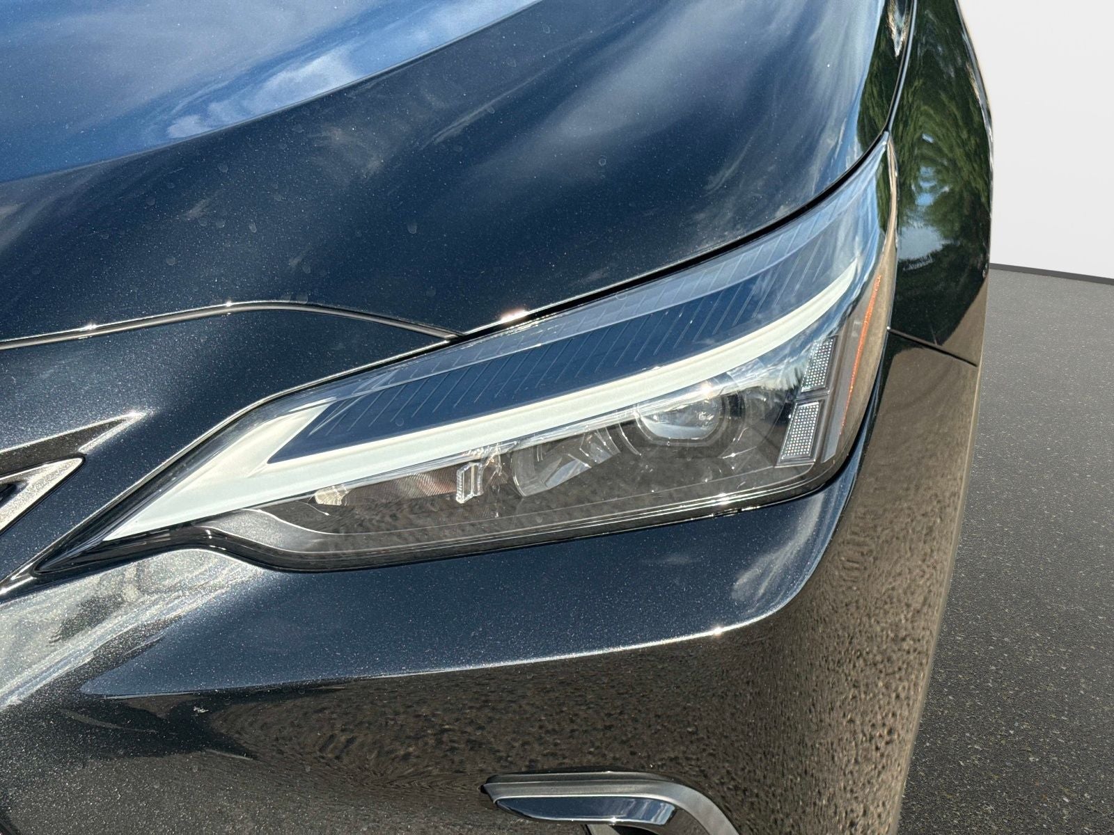 2024 Lexus NX 250 Base