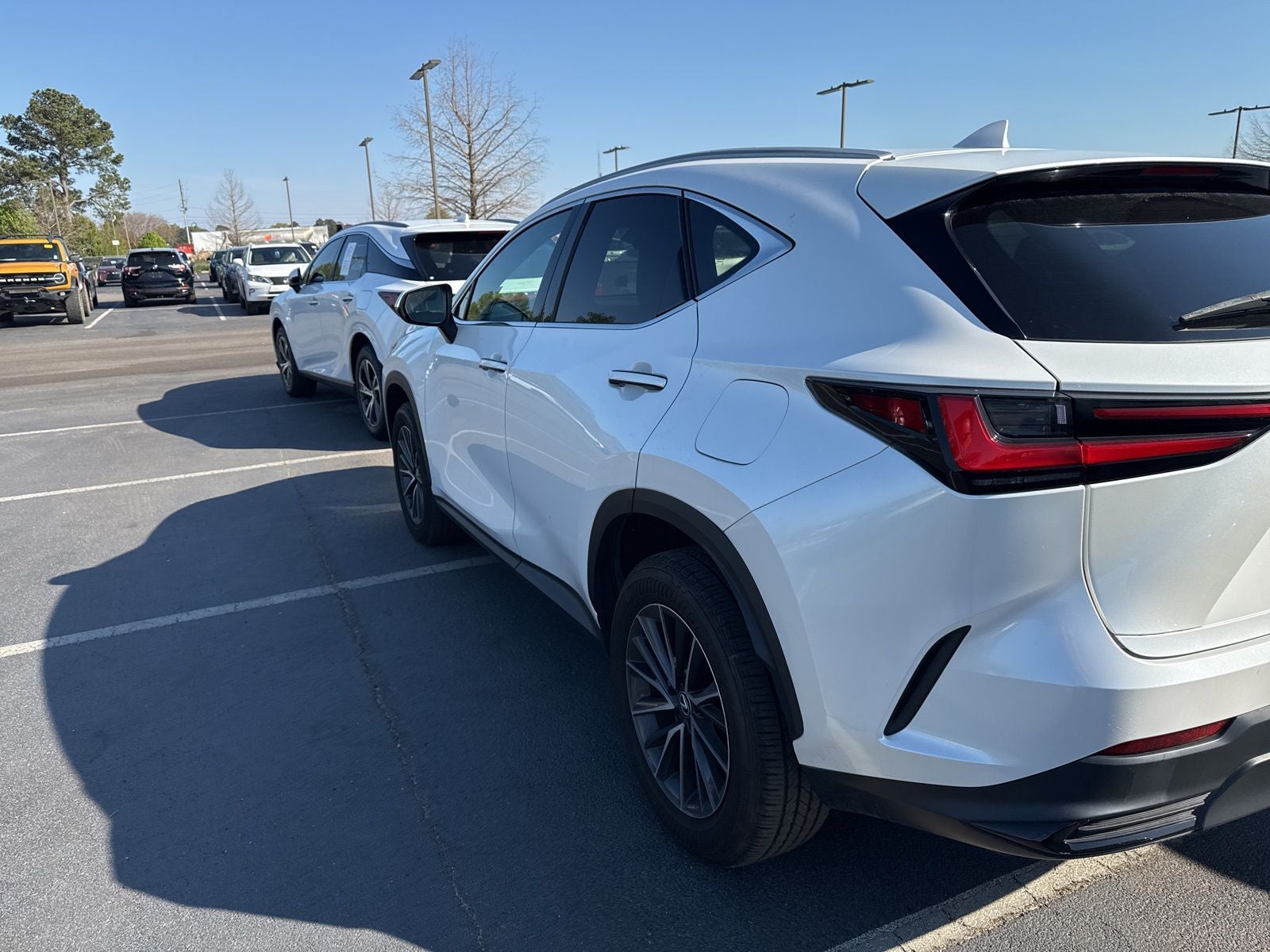 2024 Lexus NX 250 Base