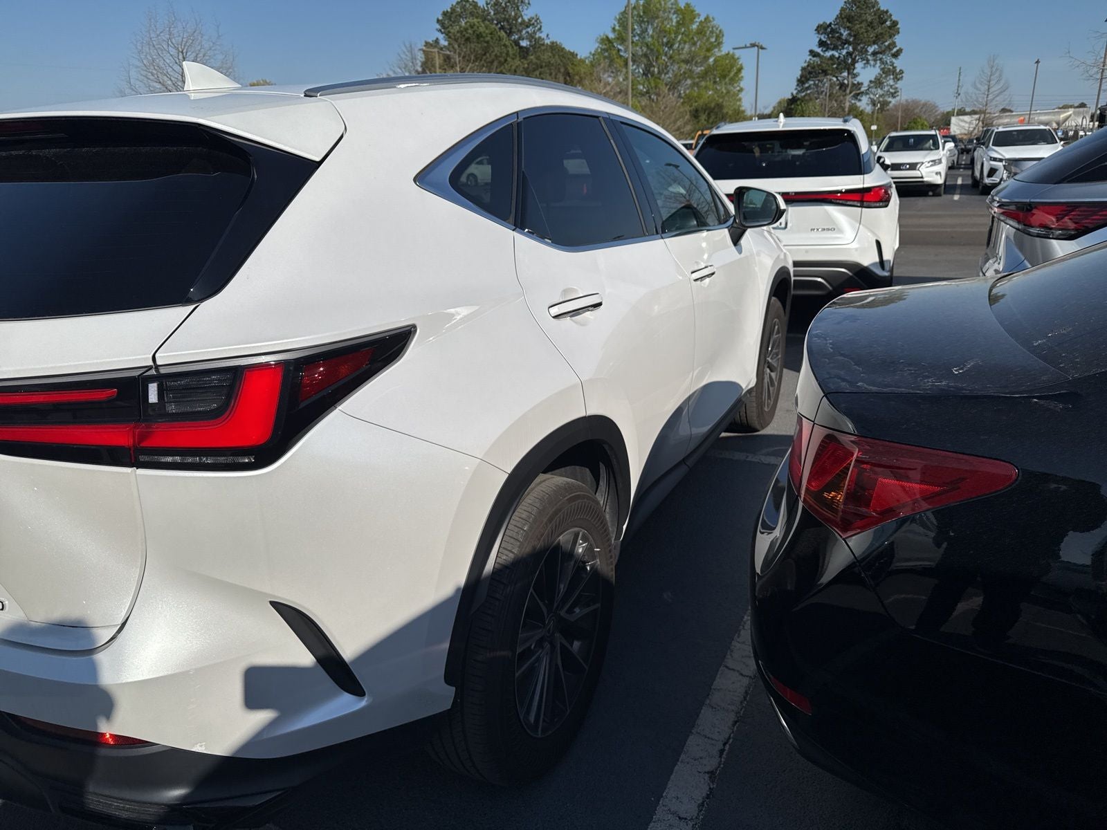 2024 Lexus NX 250 Base