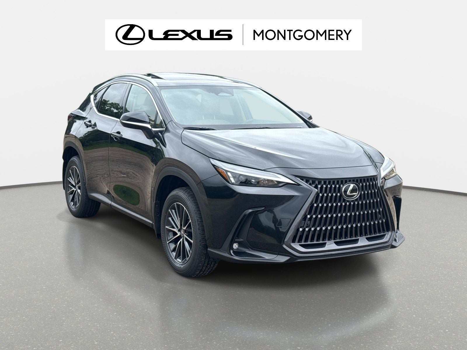 2026 Lexus NX 350 Base