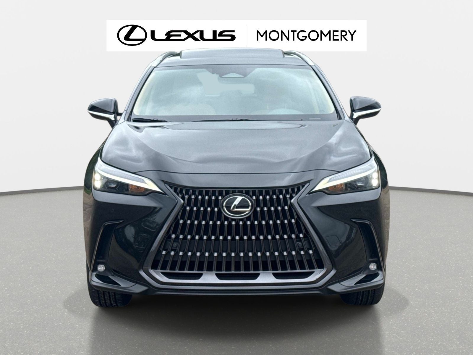 2026 Lexus NX 350 Base