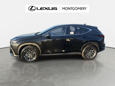 2026 Lexus NX 350 Base