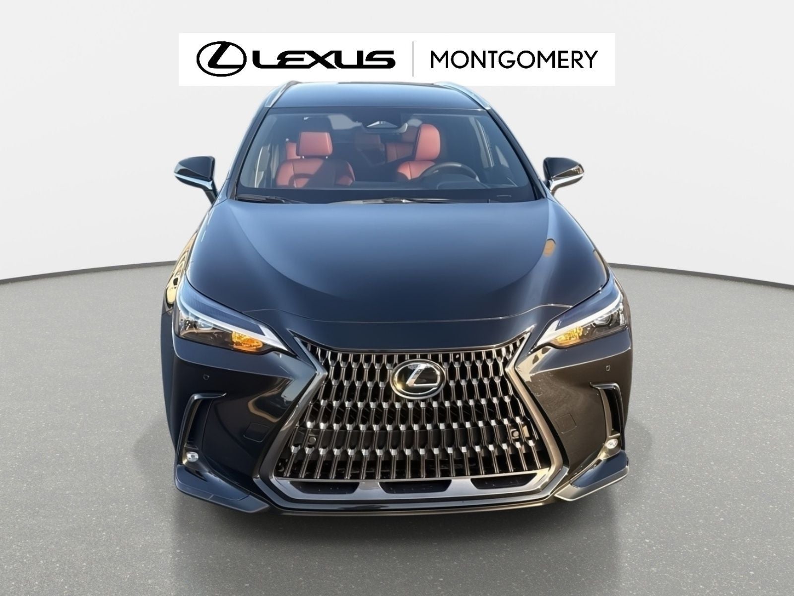 2026 Lexus NX 350 Base