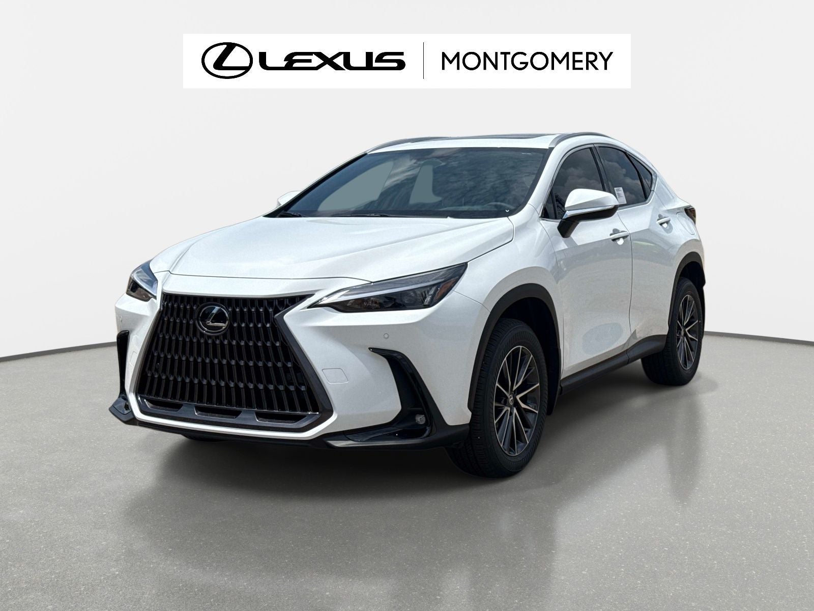 2026 Lexus NX 350 Base