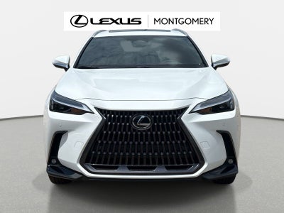 2026 Lexus NX 350 Base