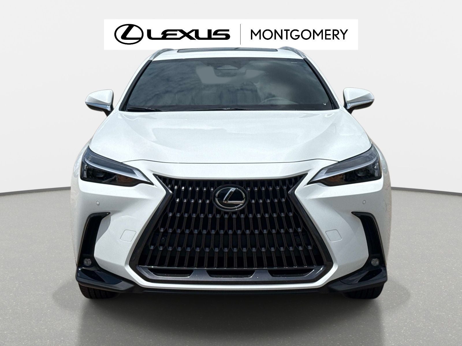 2026 Lexus NX 350 Base