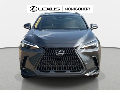 2026 Lexus NX 350 Base