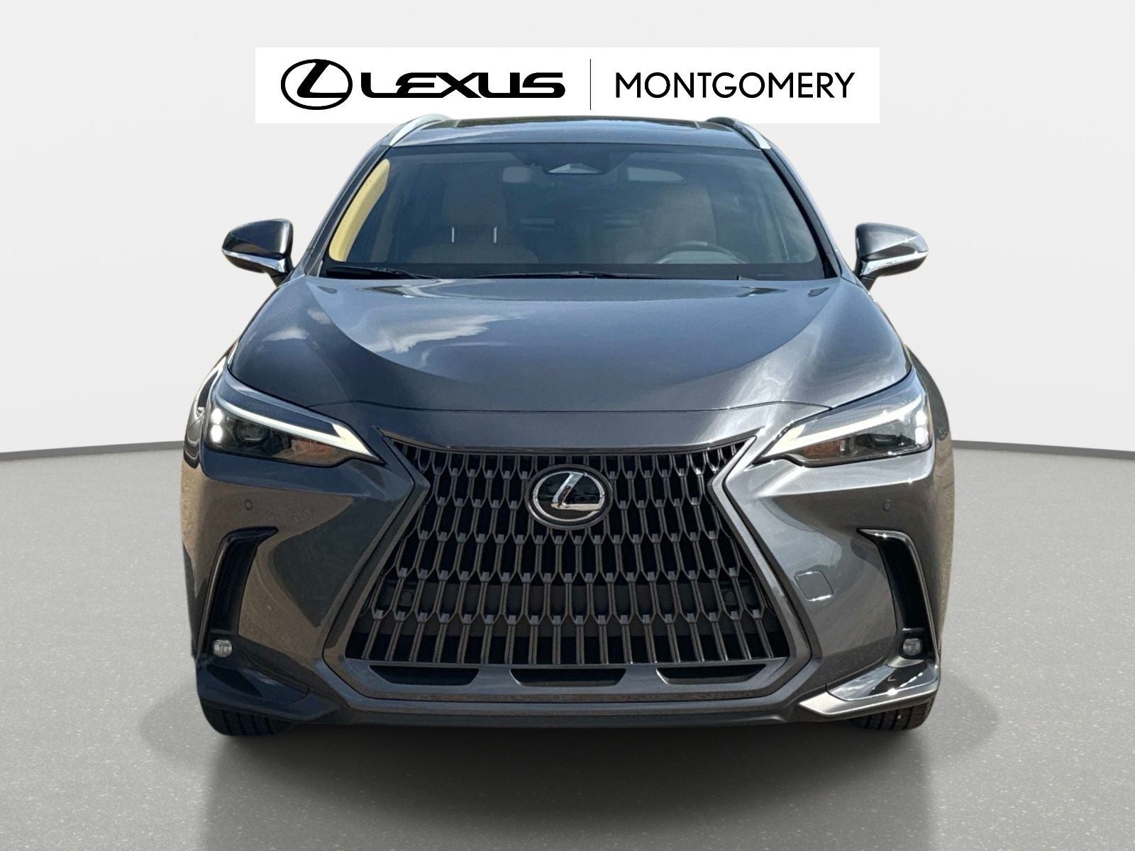 2026 Lexus NX 350 Base