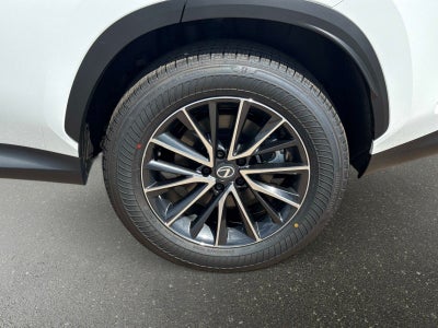 2026 Lexus NX 350 Base