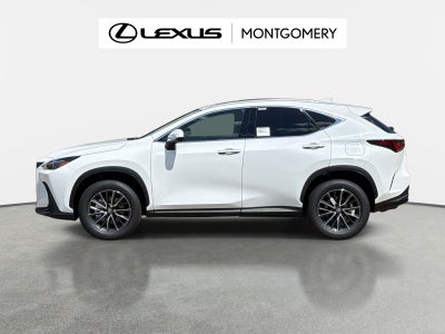 2026 Lexus NX 350 Base