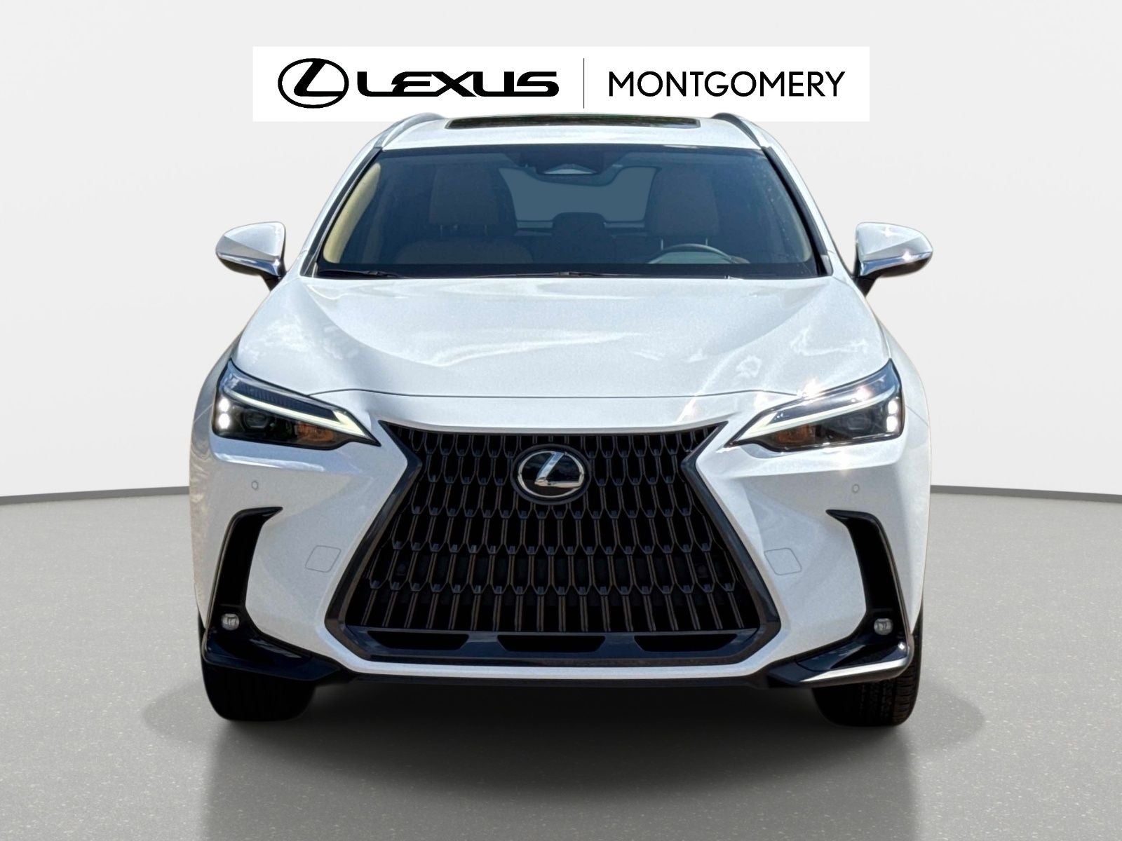 2026 Lexus NX 350 Base
