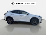 2026 Lexus NX 350 Base