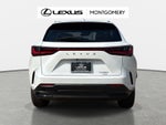 2026 Lexus NX 350 Base