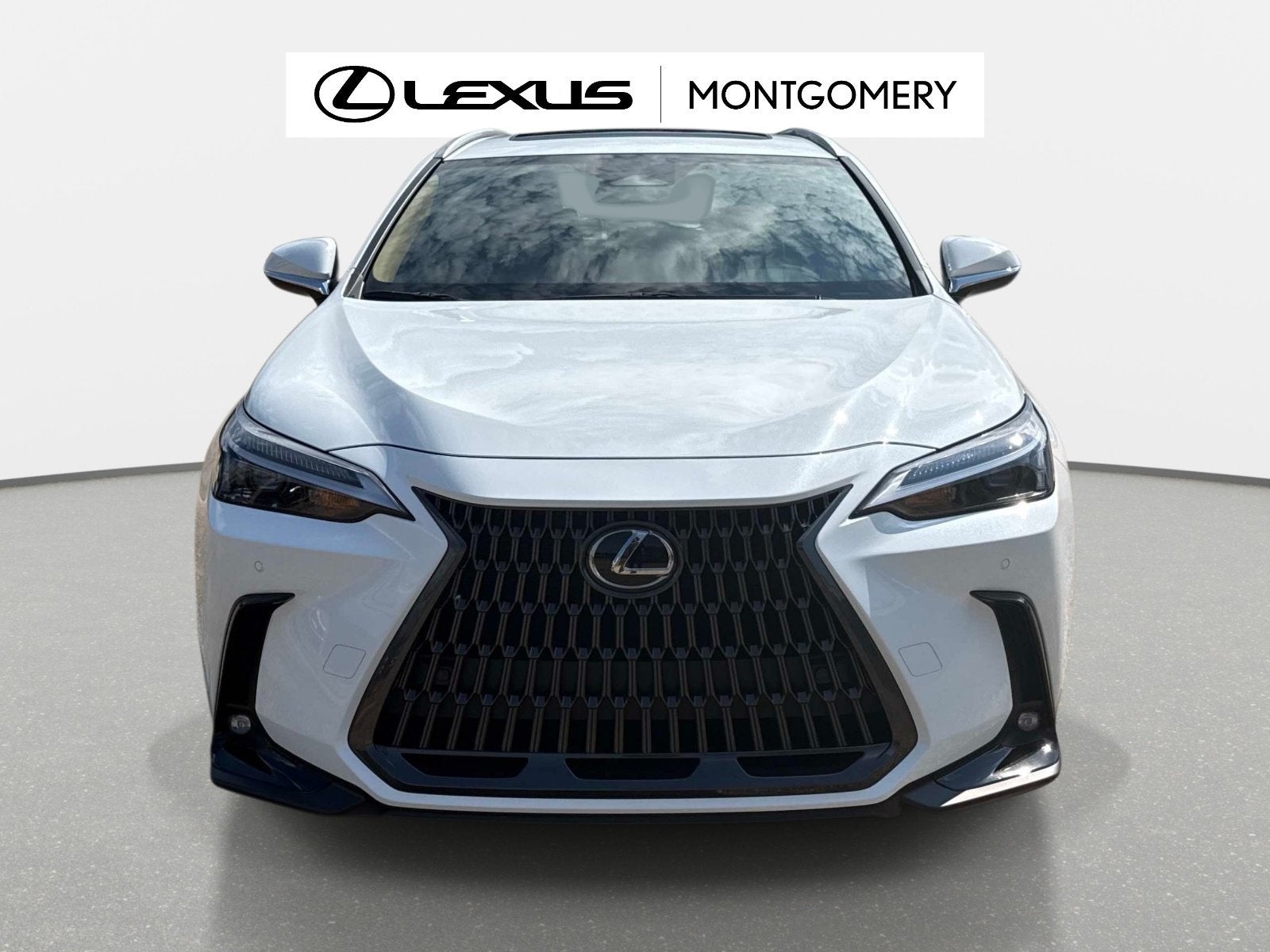 2026 Lexus NX 350 Base
