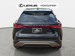 2025 Lexus RX 350 Premium Plus
