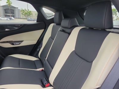 2024 Lexus NX 250 Premium