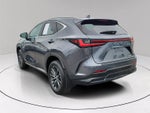 2024 Lexus NX 250 Premium