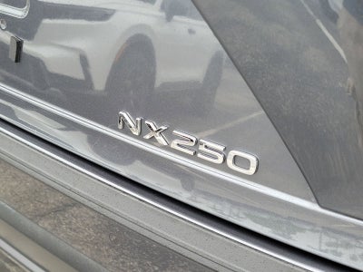 2024 Lexus NX 250 Premium