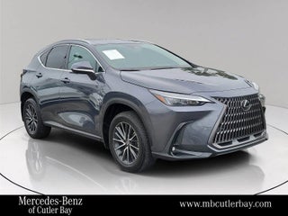 2024 Lexus NX 250 Premium