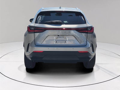 2024 Lexus NX 250 Premium