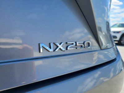 2024 Lexus NX 250 Premium
