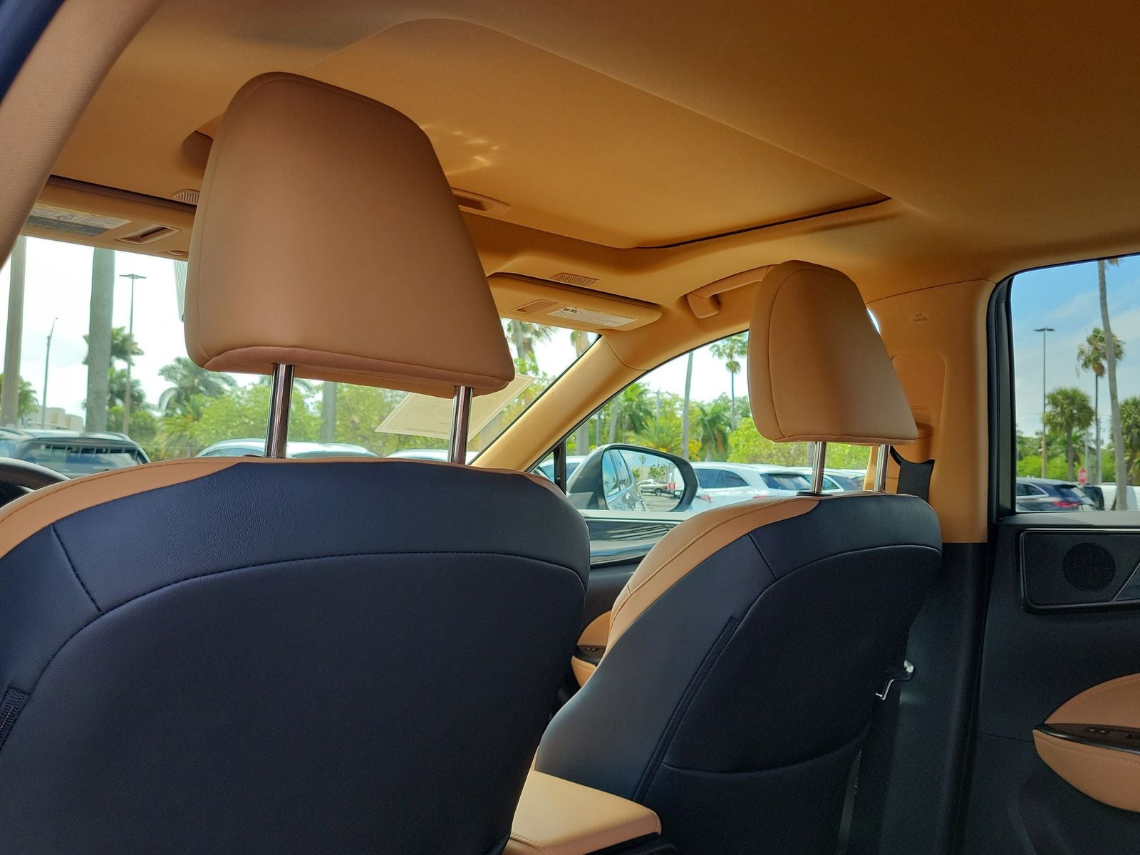 2024 Lexus NX 250 Premium