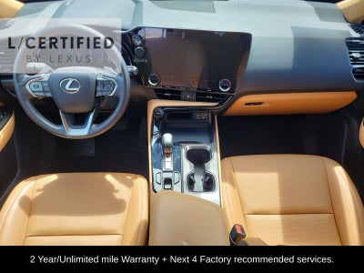 2024 Lexus NX 250 Premium