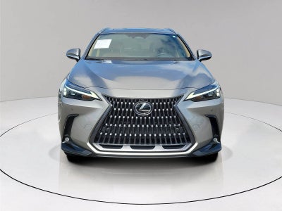 2024 Lexus NX 250 Premium
